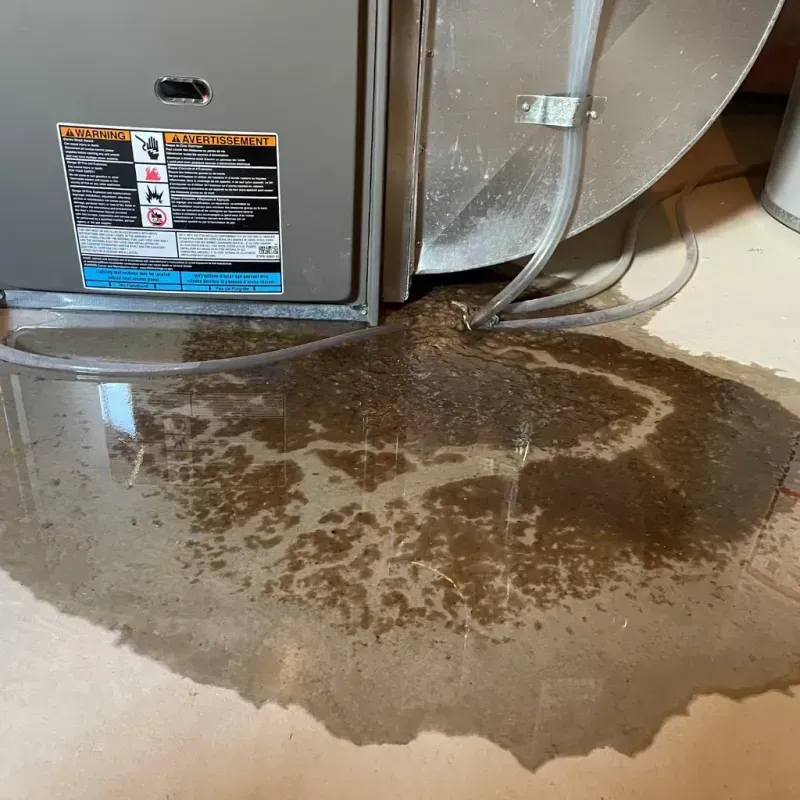 Appliance Leak Cleanup in Stoneville, NC